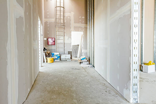 Professional Dry wall and painting in Hasley Canyon, CA